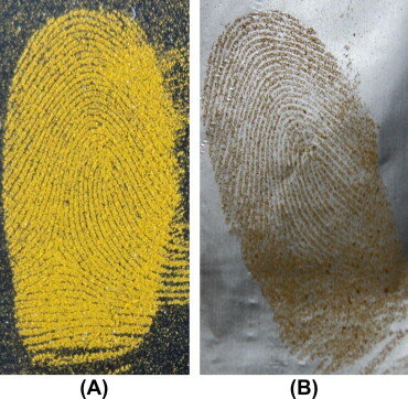 latent fingerprint Detection